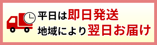 即日発送翌日お届け